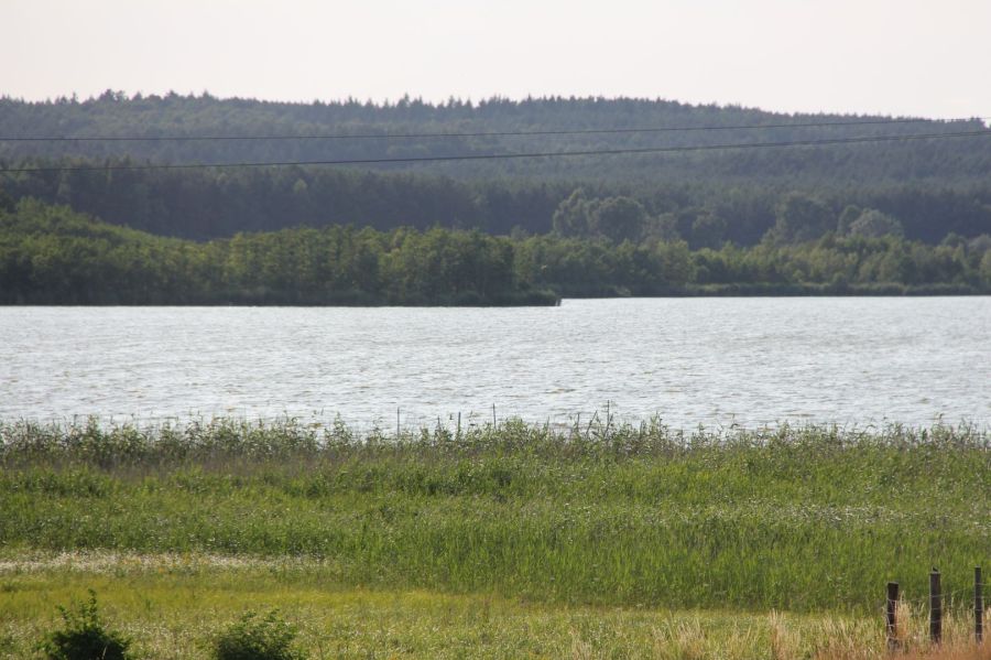 działka budowlana/inwestycyjna, 1,2ha, 1300m od jeziora, wyspa Wolin: zdjęcie 98785079