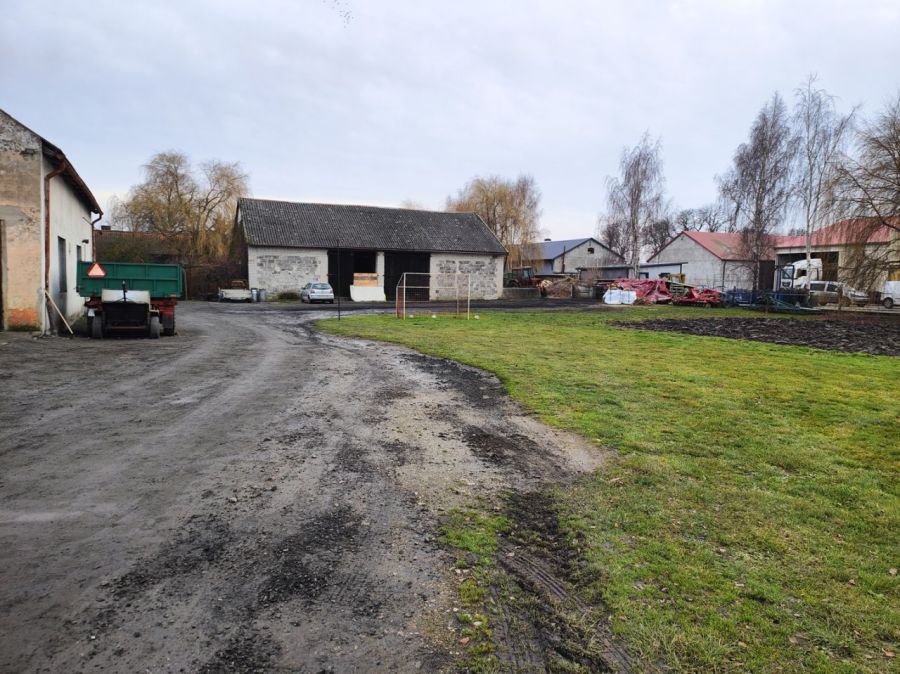 nieruchomość gruntowa Malbork: zdjęcie 98785629
