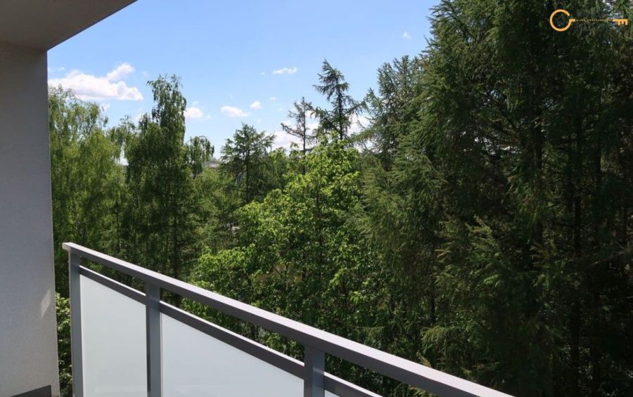 Ostatnie piętro | Widok na las i staw | Alfa Park: zdjecie 98785875