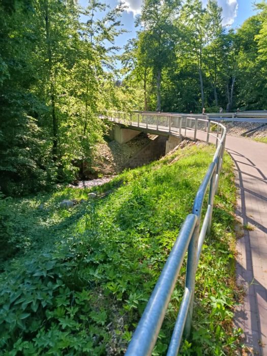 Działka rekreacyjna nad jeziorem Mausz: zdjęcie 98786409