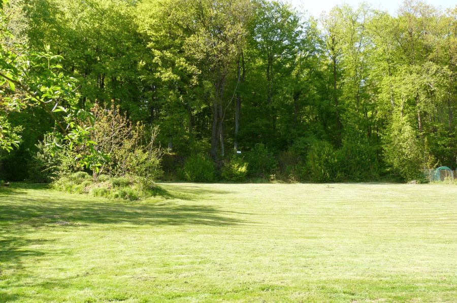 Działka pod lasem/inwestycja/dom/Park Krajobrazowy/2340m2: zdjecie 98789245