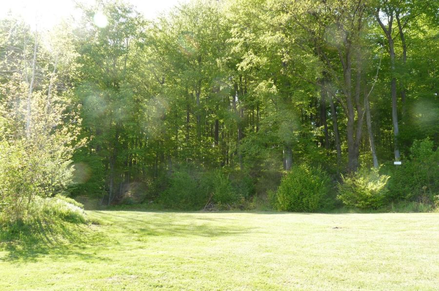 Działka pod lasem/inwestycja/dom/Park Krajobrazowy/2340m2: zdjecie 98789247