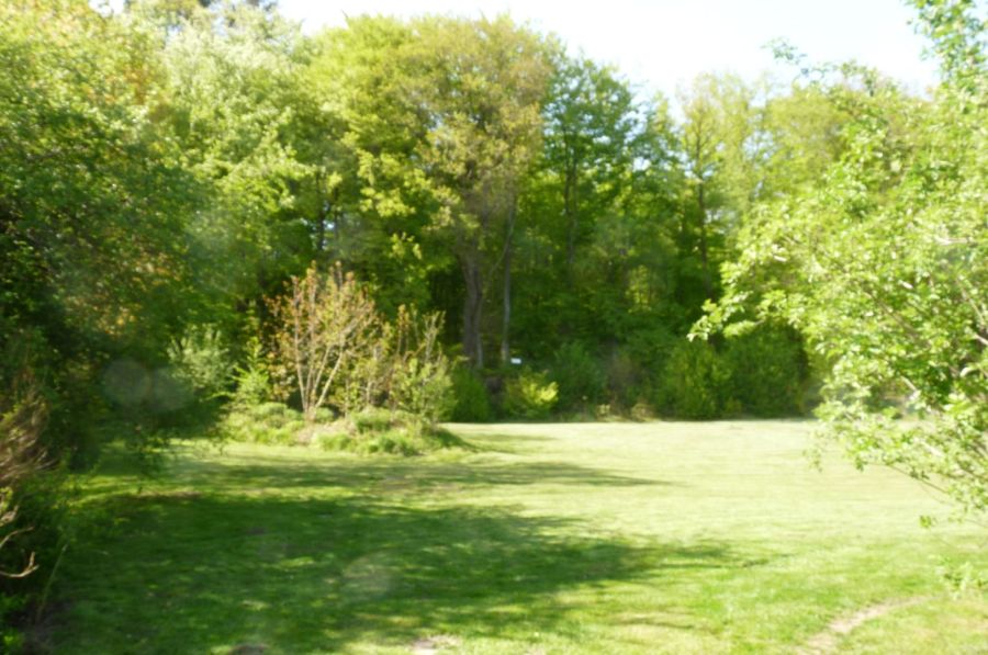 Działka pod lasem/inwestycja/dom/Park Krajobrazowy/2340m2: zdjecie 98789249