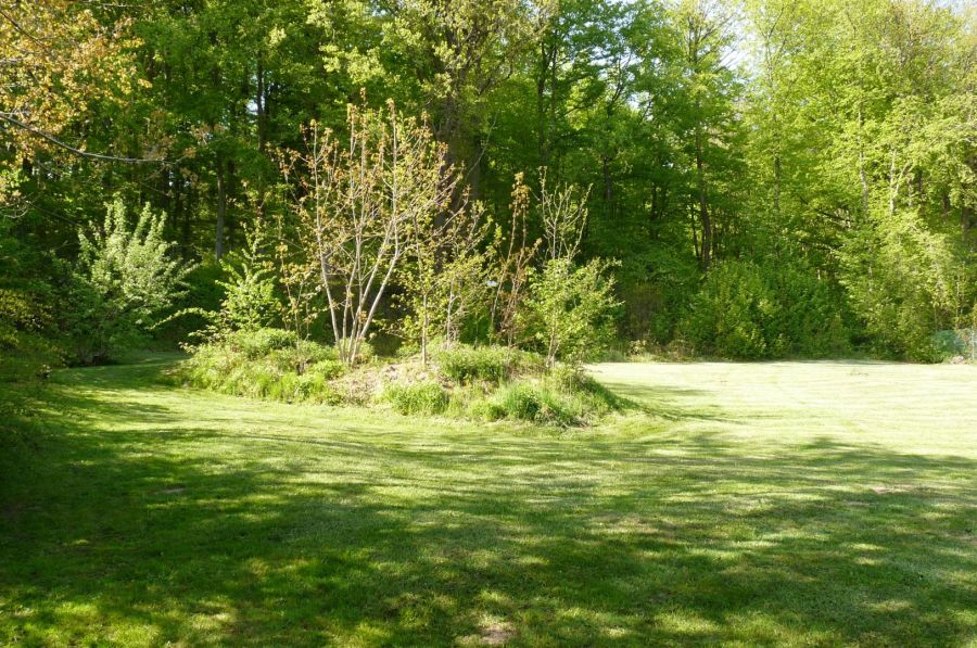 Działka pod lasem/inwestycja/dom/Park Krajobrazowy/2340m2: zdjecie 98789250