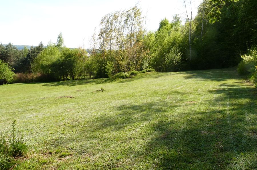 Działka pod lasem/inwestycja/dom/Park Krajobrazowy/2340m2: zdjecie 98789251