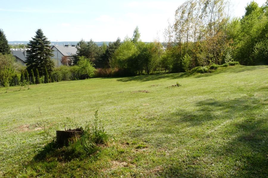 Działka pod lasem/inwestycja/dom/Park Krajobrazowy/2340m2: zdjecie 98789252