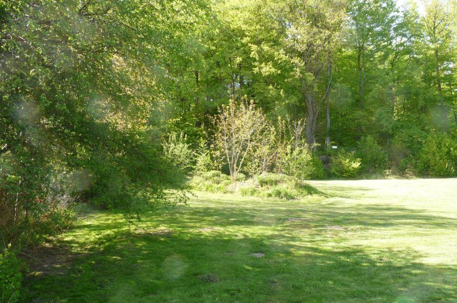 Działka pod lasem/inwestycja/dom/Park Krajobrazowy/2340m2: zdjecie 98789253