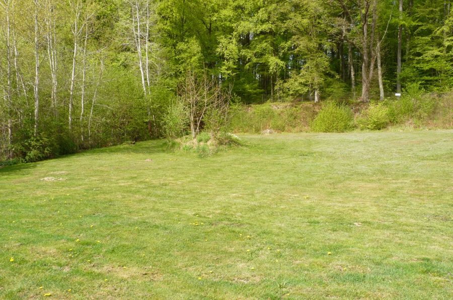 Działka pod lasem/inwestycja/dom/Park Krajobrazowy/2340m2: zdjecie 98789255
