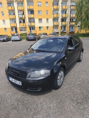 Audi A3 3 8P 1.6Mpi Lpg: zdjecie 66444104