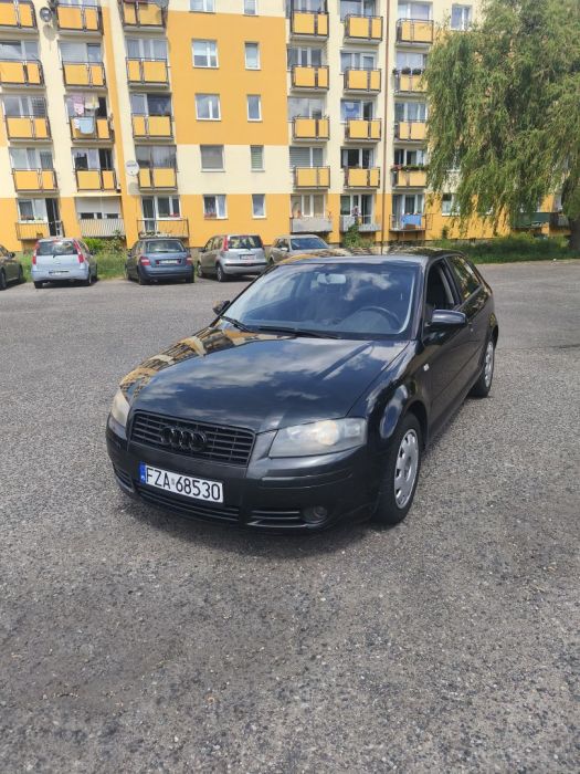 Audi A3 3 8P 1.6Mpi Lpg: zdjecie 98789367