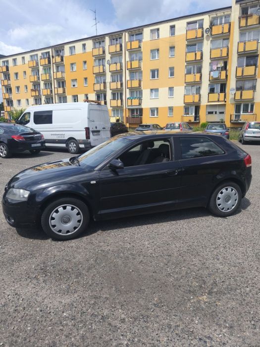 Audi A3 3 8P 1.6Mpi Lpg: zdjecie 98789368