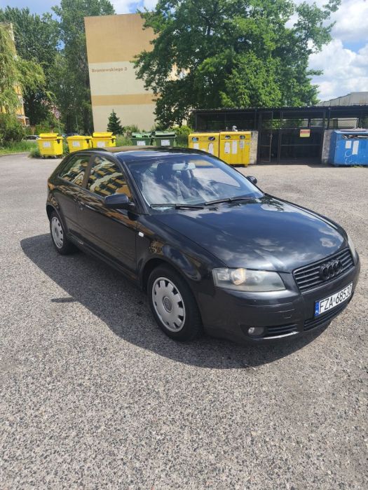 Audi A3 3 8P 1.6Mpi Lpg: zdjecie 98789369