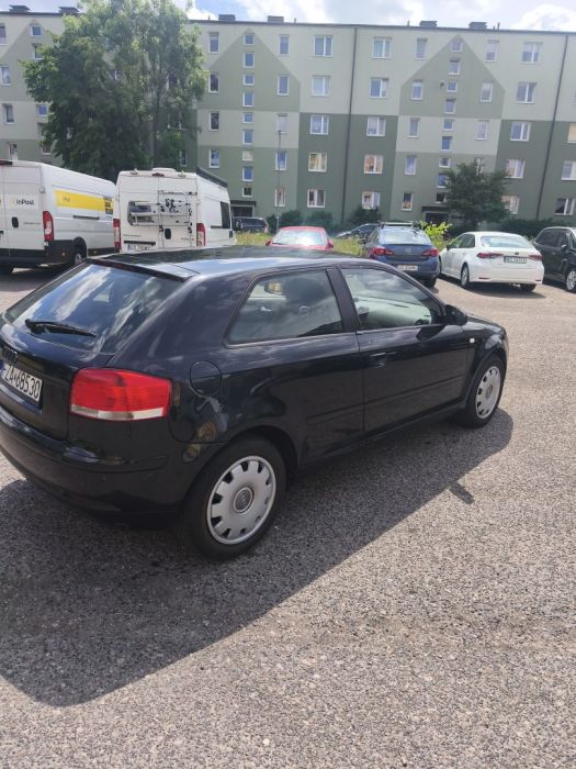 Audi A3 3 8P 1.6Mpi Lpg: zdjecie 98789370