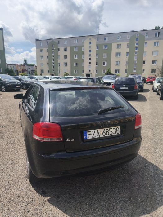 Audi A3 3 8P 1.6Mpi Lpg: zdjecie 98789371