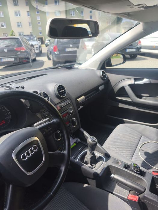 Audi A3 3 8P 1.6Mpi Lpg: zdjecie 98789373
