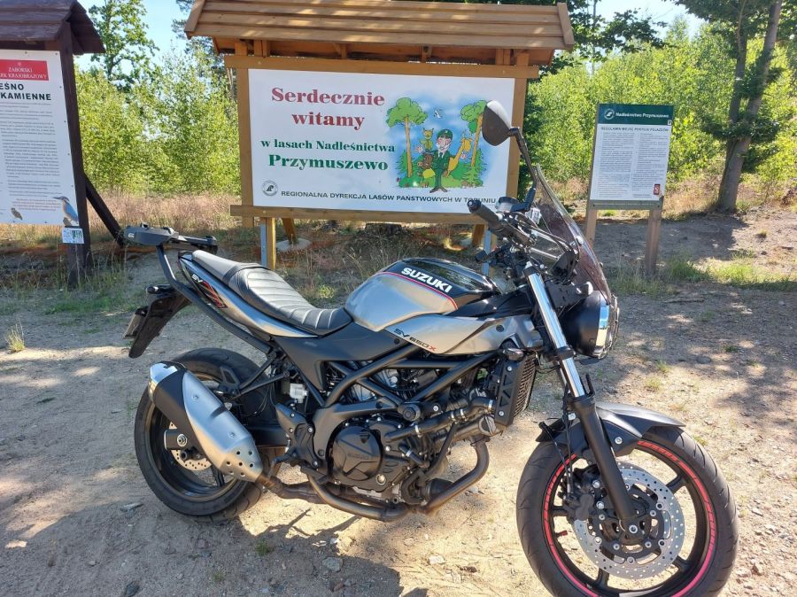 Suzuki SV 650X