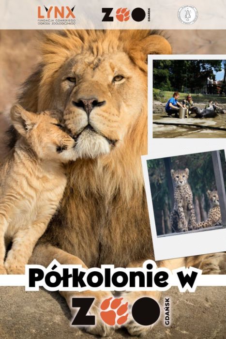 Półkolonie w ZOO - Nature Camp