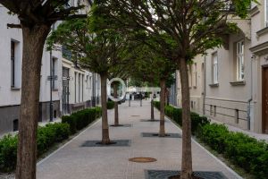 Apartament w Sopocie Dolnym: zdjecie 66448607