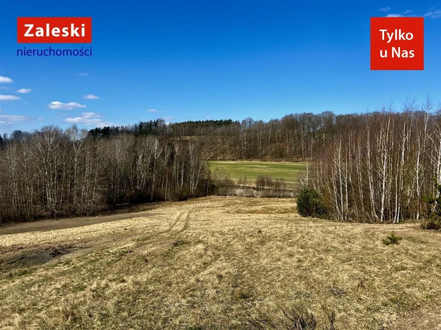 Działka z wydanymi warunkami zabudowy - tokary