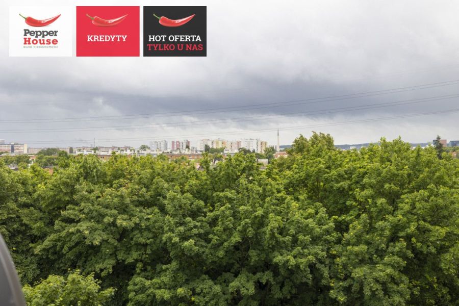 2 pokojowe mieszkanie - Żabianka: zdjecie 99455449