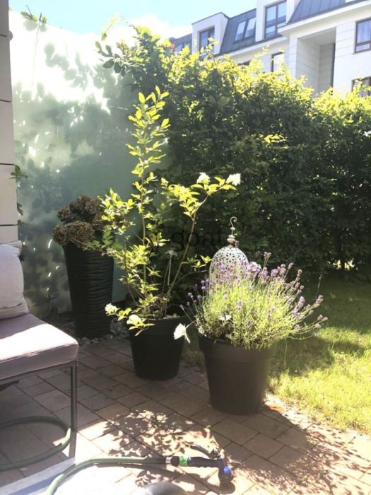 Sopot | 2 pokoje | nowe budownictwo | z ogródkiem: zdjecie 98907387