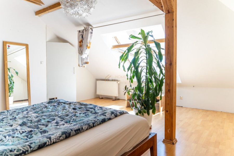 Wolnostojący dom z ogrodem | 7 pokoi | 773 m&sup2;: zdjecie 99573028