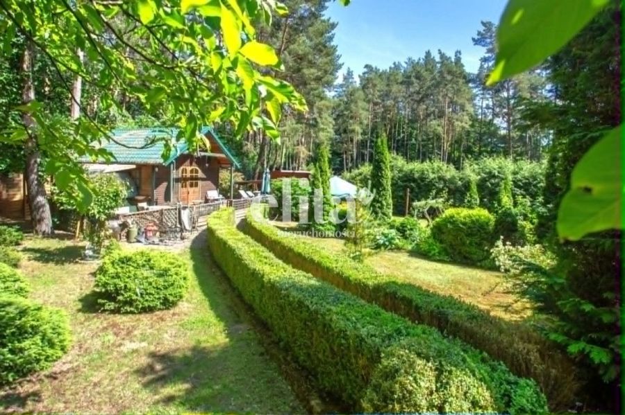 Twoje miejsce w otoczeniu natury: zdjecie 99519367