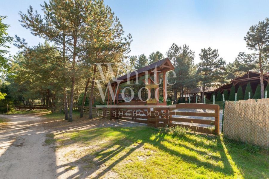 Ośrodek wypoczynkowy w lesie, nad jeziorem: zdjecie 98947040
