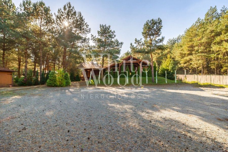 Ośrodek wypoczynkowy w lesie, nad jeziorem: zdjecie 98947055