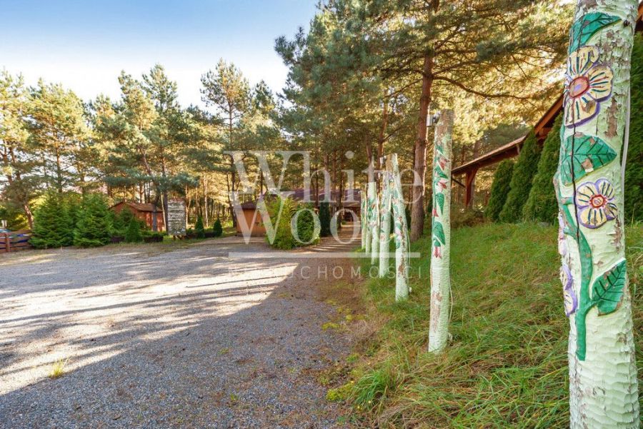 Ośrodek wypoczynkowy w lesie, nad jeziorem: zdjecie 98947062