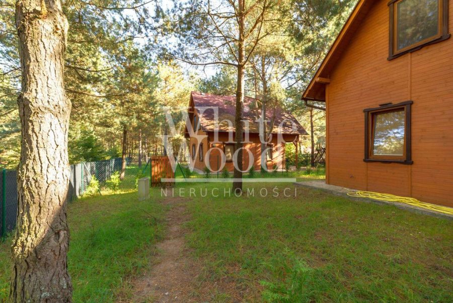Ośrodek wypoczynkowy w lesie, nad jeziorem: zdjecie 98946999