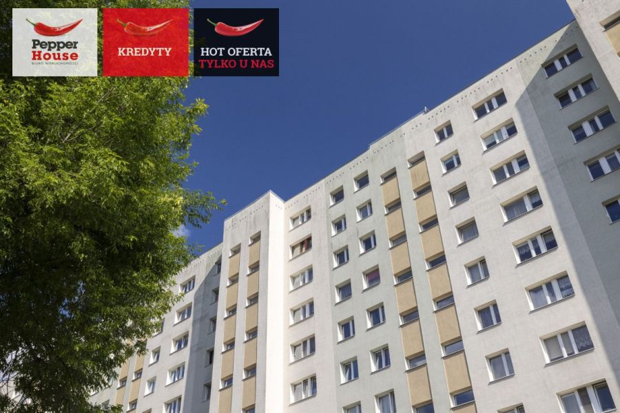 Mieszkanie - Gdańsk Żabianka: zdjecie 98957661
