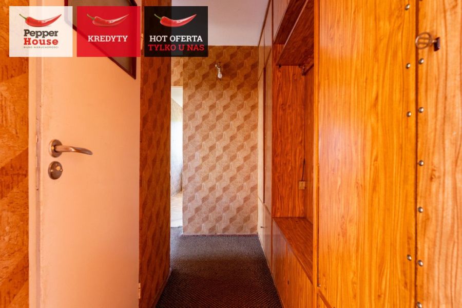 3 pokoje z widokiem na las i miasto: zdjecie 98958506