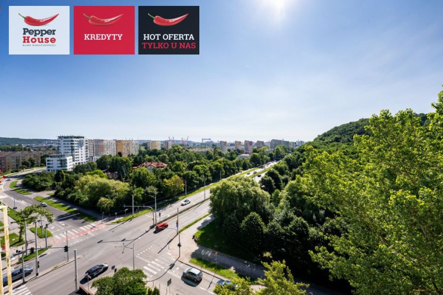 3 pokoje z widokiem na las i miasto: zdjecie 98958509