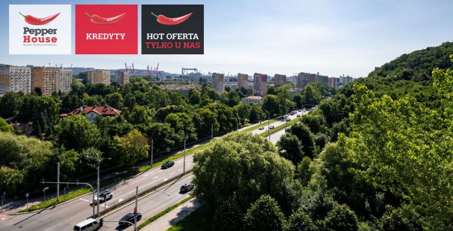 3 pokoje z widokiem na las i miasto: zdjecie 98958512