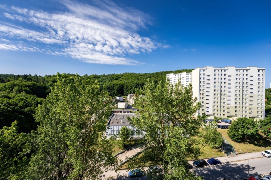 3 pokoje z widokiem na las i miasto: zdjecie 98958515