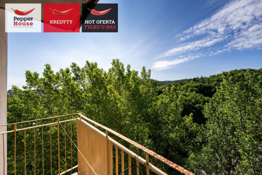 3 pokoje z widokiem na las i miasto: zdjecie 98958477