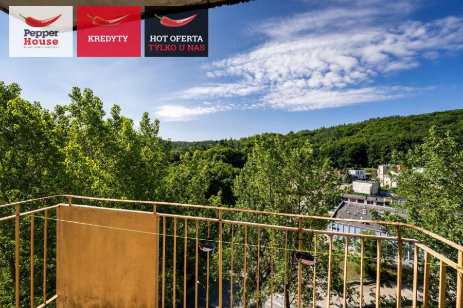 3 pokoje z widokiem na las i miasto: zdjecie 98958479