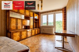 3 pokoje z widokiem na las i miasto: zdjecie 66467265