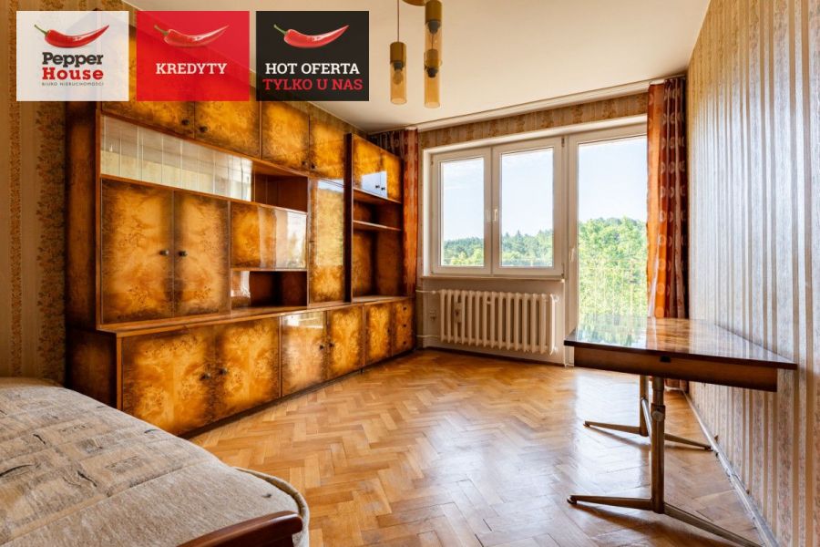 3 pokoje z widokiem na las i miasto: zdjecie 98958485