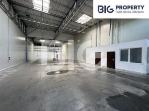 Magazyn Gdańsk Od zaraz Bez prowizji: zdjecie 66468670