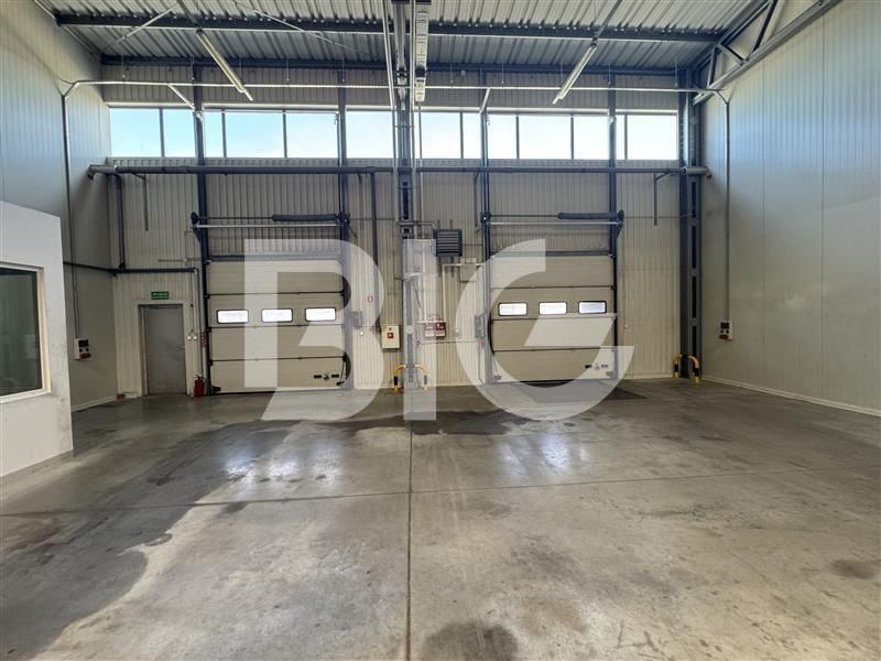 Magazyn Gdańsk Od zaraz Bez prowizji: zdjecie 98967966