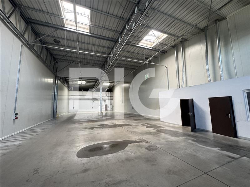 Magazyn Gdańsk Od zaraz Bez prowizji: zdjecie 98967967
