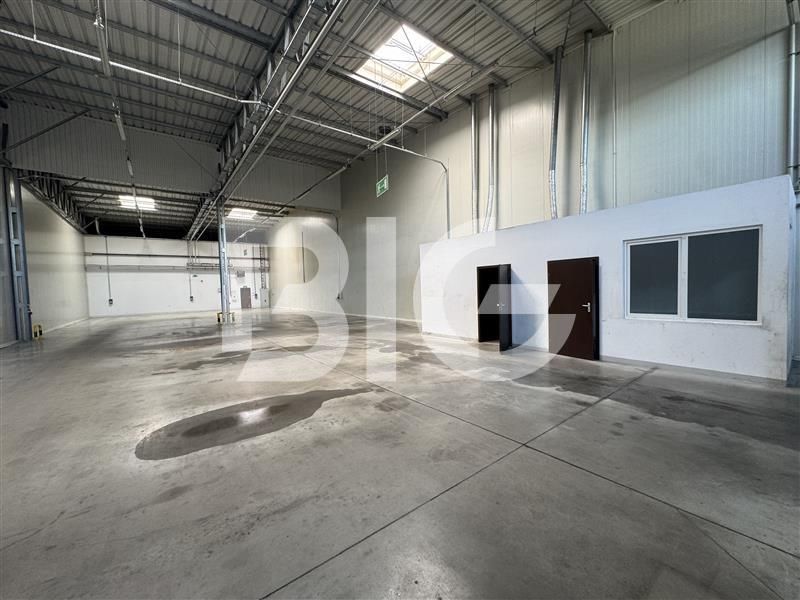 Magazyn Gdańsk Od zaraz Bez prowizji: zdjecie 98967968