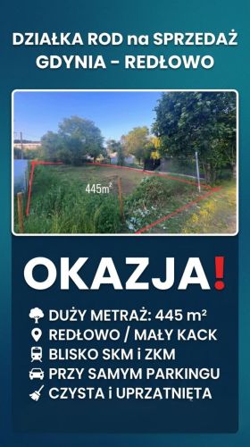 Duża działka ROD 445 m² w Gdyni Redłowo - przy parkingu, blisko SKM: zdjecie 66473251