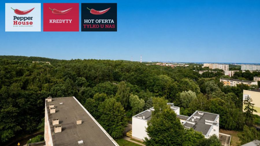 10. piętro | widok na morze | 3 pokoje: zdjecie 99548296