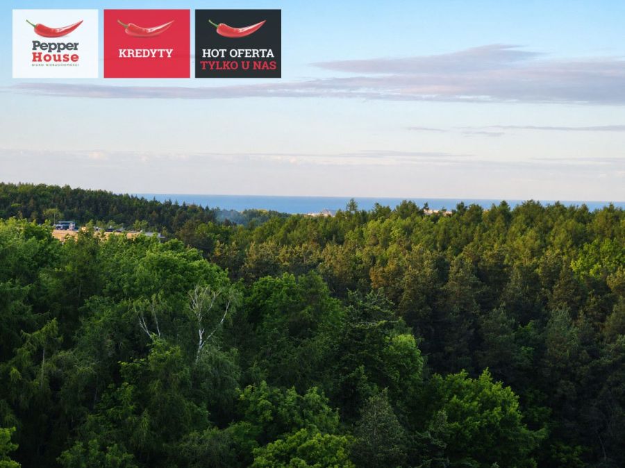 10. piętro | widok na morze | 3 pokoje: zdjecie 99548284