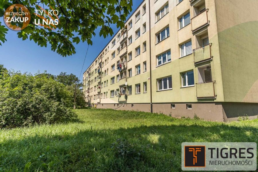 Słoneczne | Gotowe do wprowadzenia | 1 piętro: zdjecie 99069868