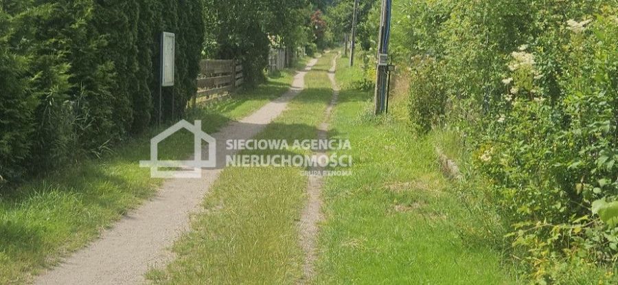 Działka ROD w Sopocie z murowanym domkiem: zdjecie 99070709