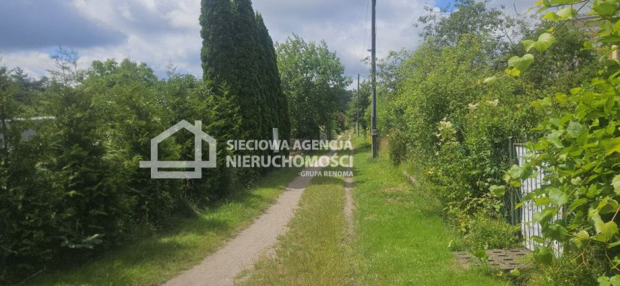 Działka ROD w Sopocie z murowanym domkiem: zdjecie 99070710